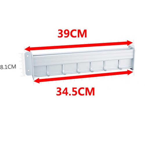 Wall-mounted Kitchen storage rack