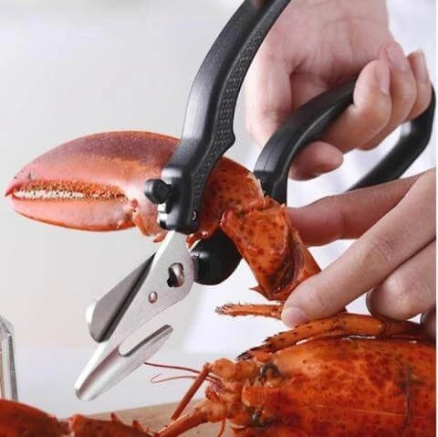 Multifunctional Kitchen Scissors Stainless Steel Tool